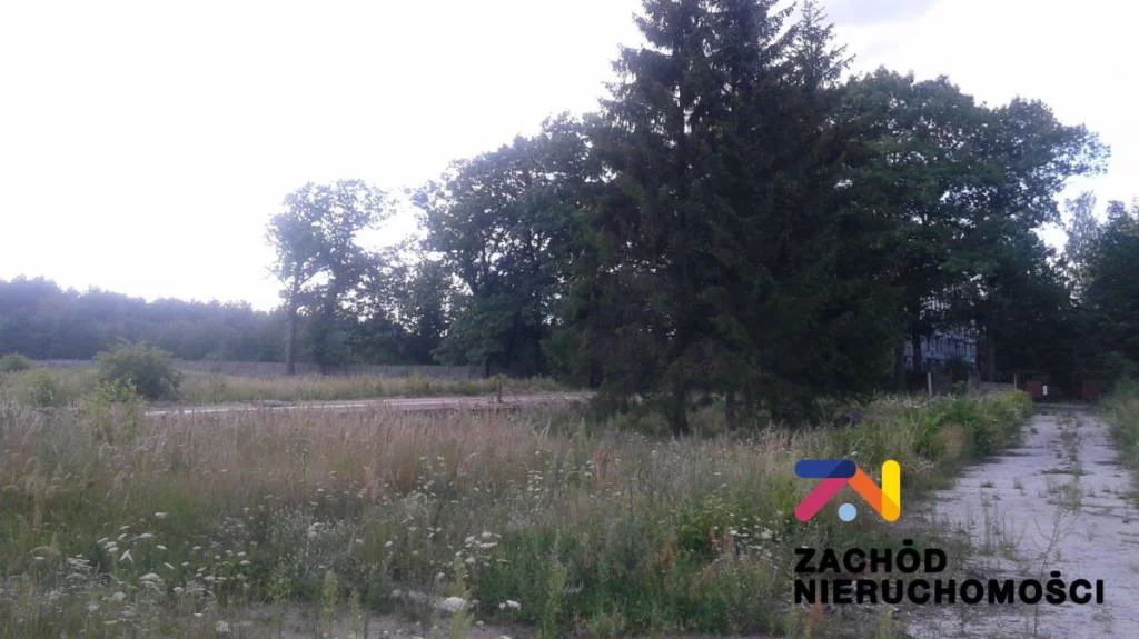 Lokal użytkowy 1 396,00 m², oferta nr , 138990227, Chocianowiec