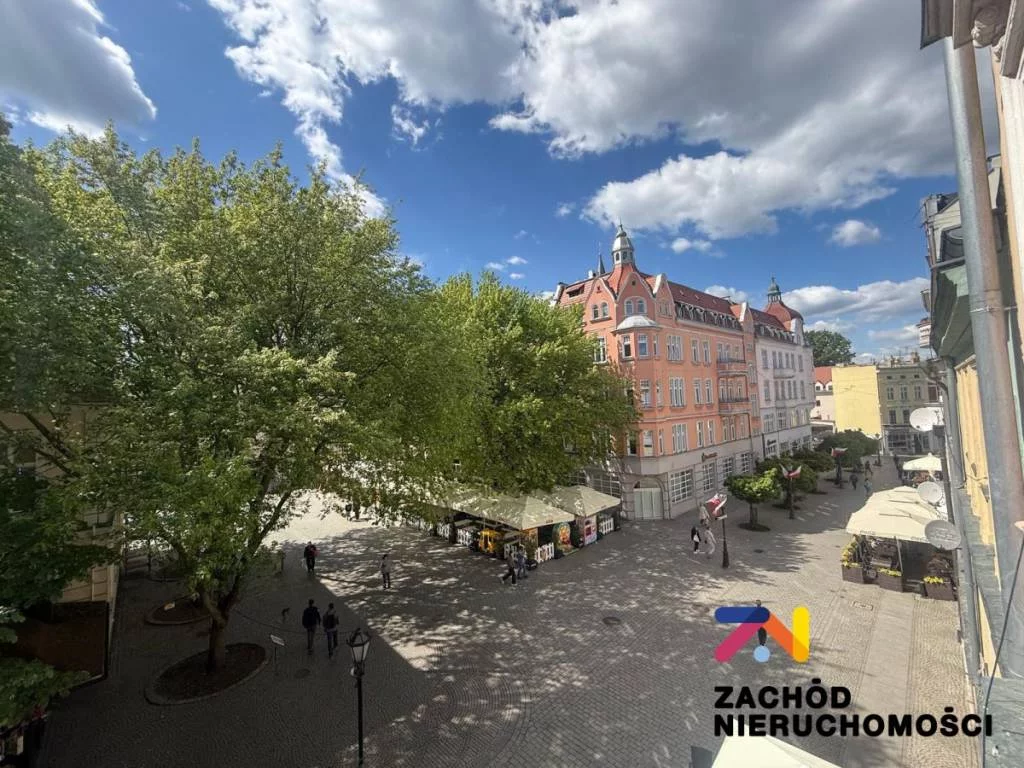 158930227 - zdjęcie nr 0