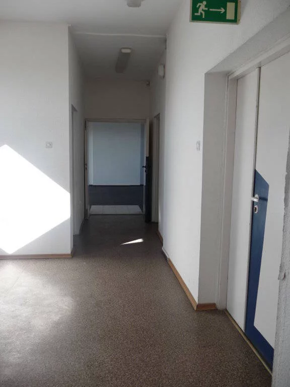 81150227 - zdjęcie nr 0