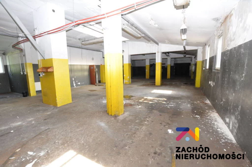 157410227 - zdjęcie nr 0
