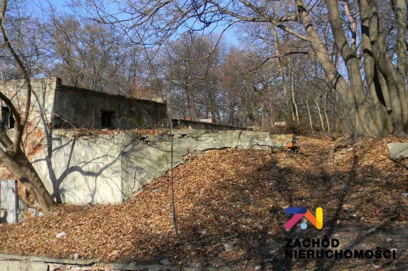 Lokal użytkowy 1 854,00 m², oferta nr , 158030227, Żary