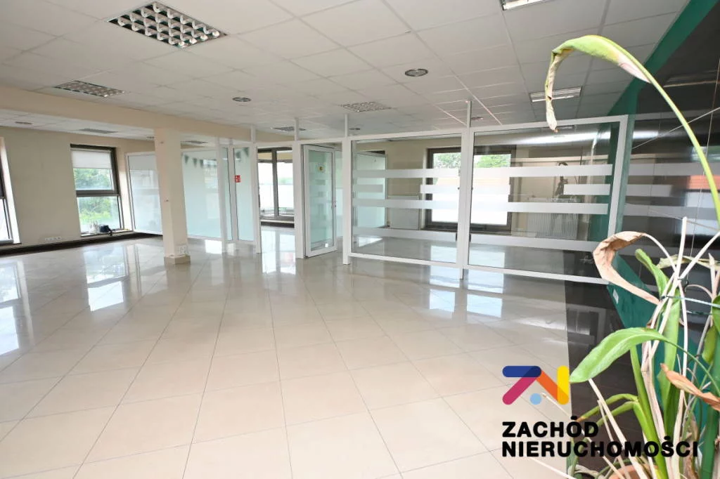 161850227 - zdjęcie nr 2