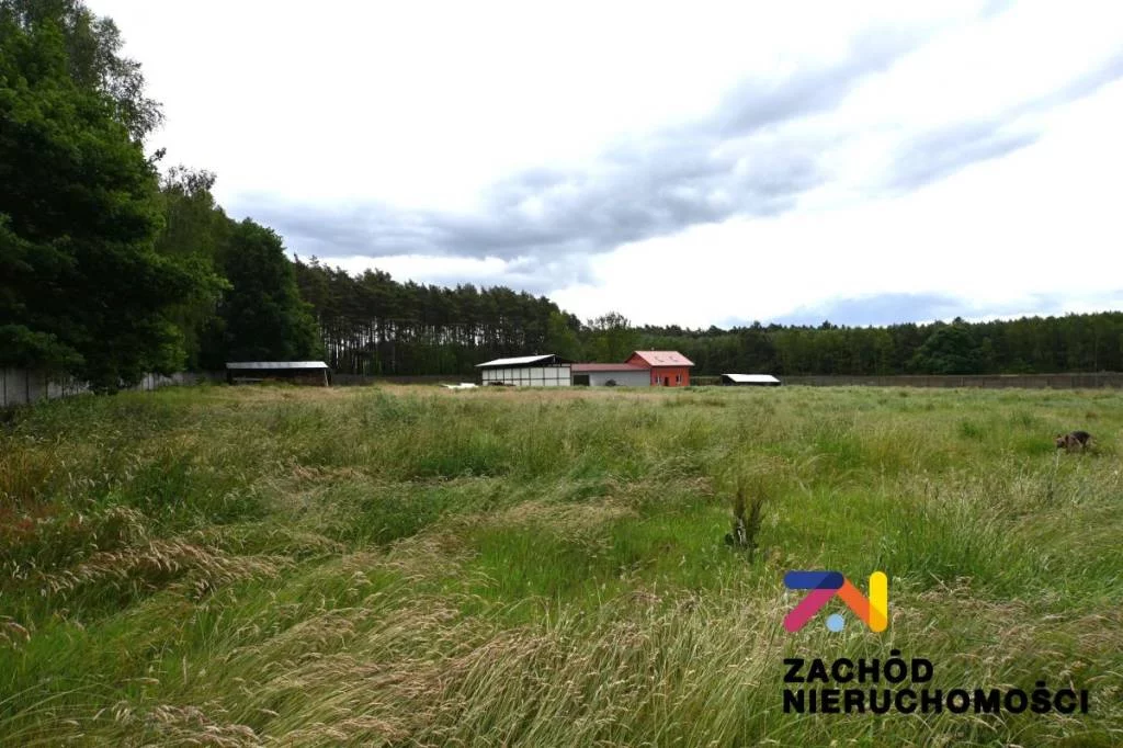 Apartamenty 161690227 Zielona Góra