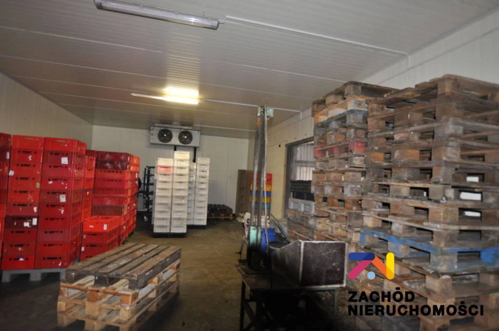 Lokal użytkowy 23 200,00 m², oferta nr , 161690227, Zielona Góra