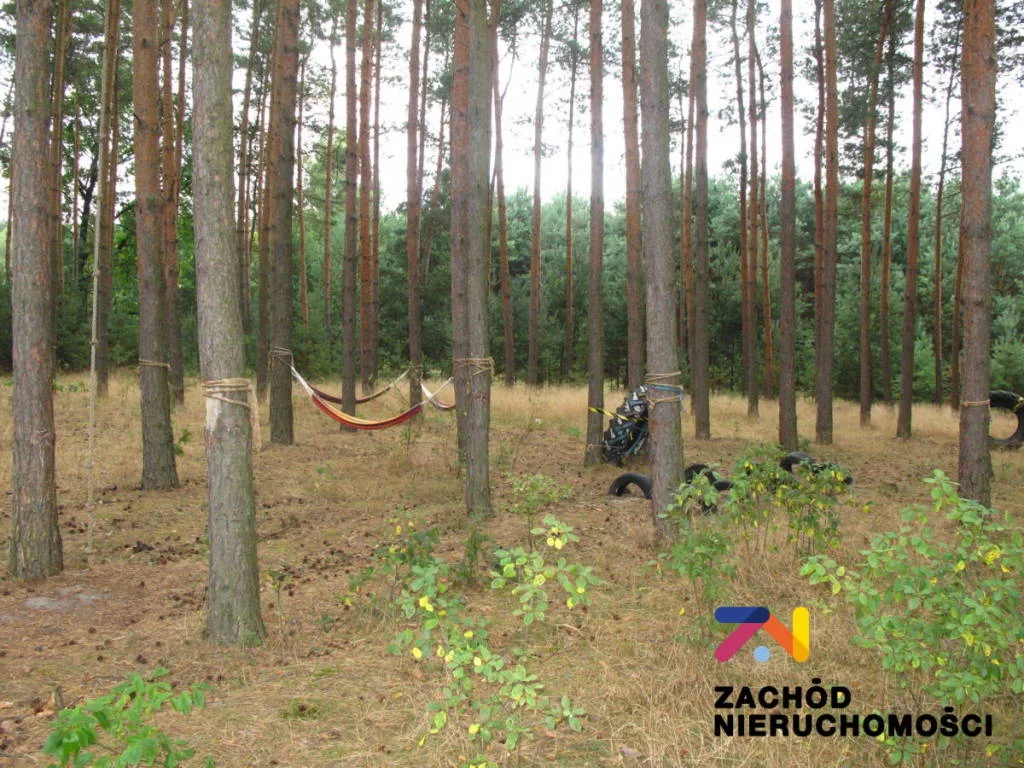 Lokal użytkowy 190,00 m², oferta nr , 142460227, Zielona Góra, Barcikowiczki