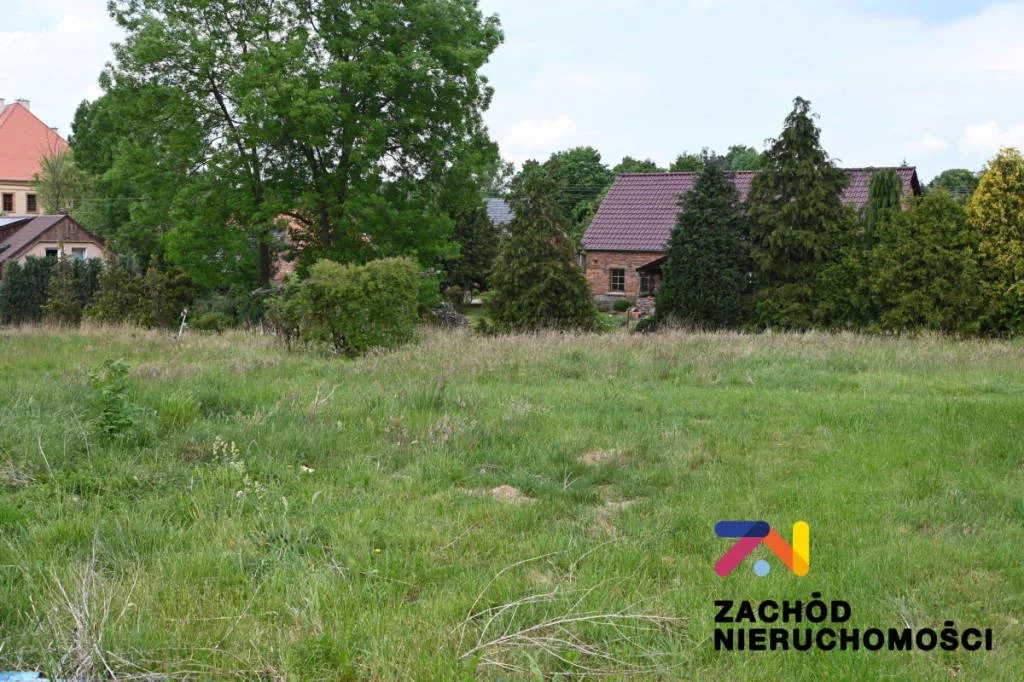 157430227 - zdjęcie nr 3