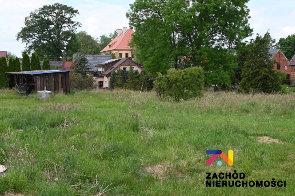 157430227 - zdjęcie nr 4