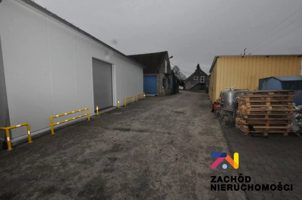 159450227 - zdjęcie nr 0