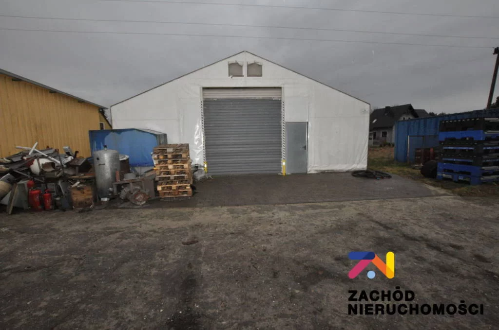159450227 - zdjęcie nr 2