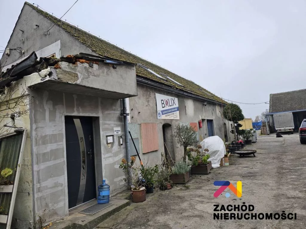 159450227 - zdjęcie nr 4
