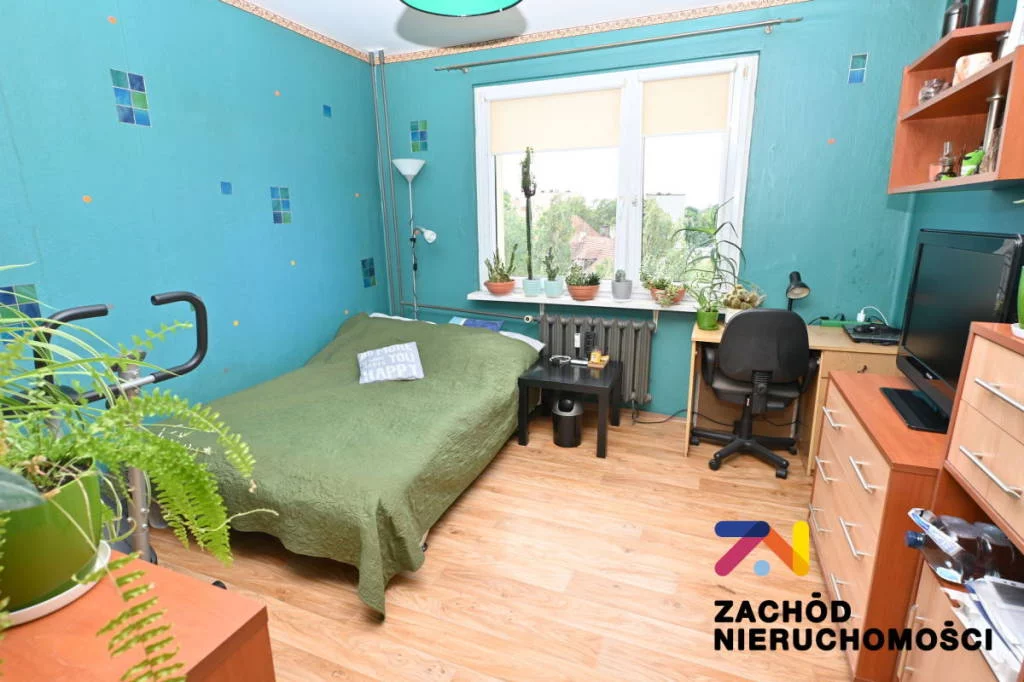 162480227 - zdjęcie nr 3