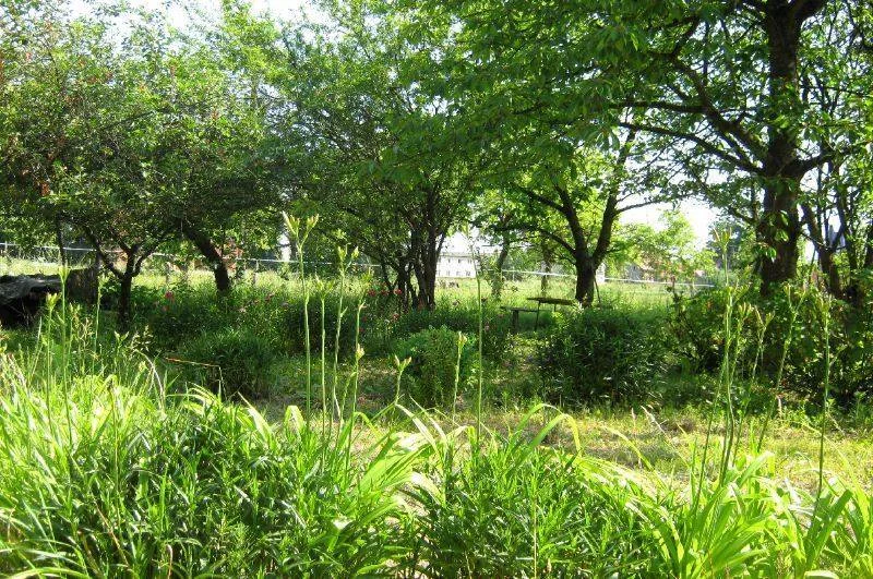 3 pokoje, mieszkanie 66,00 m², parter, oferta nr , 25330227, Gościeszowice