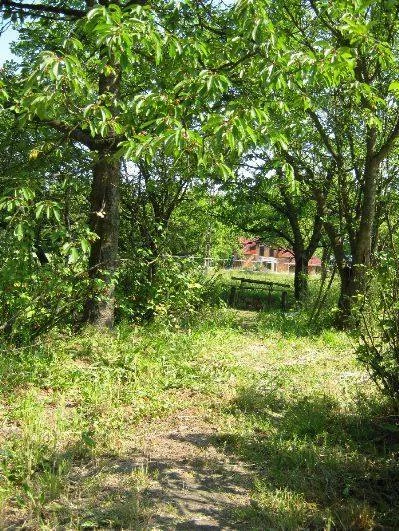 3 pokoje, mieszkanie 66,00 m², parter, oferta nr , 25330227, Gościeszowice
