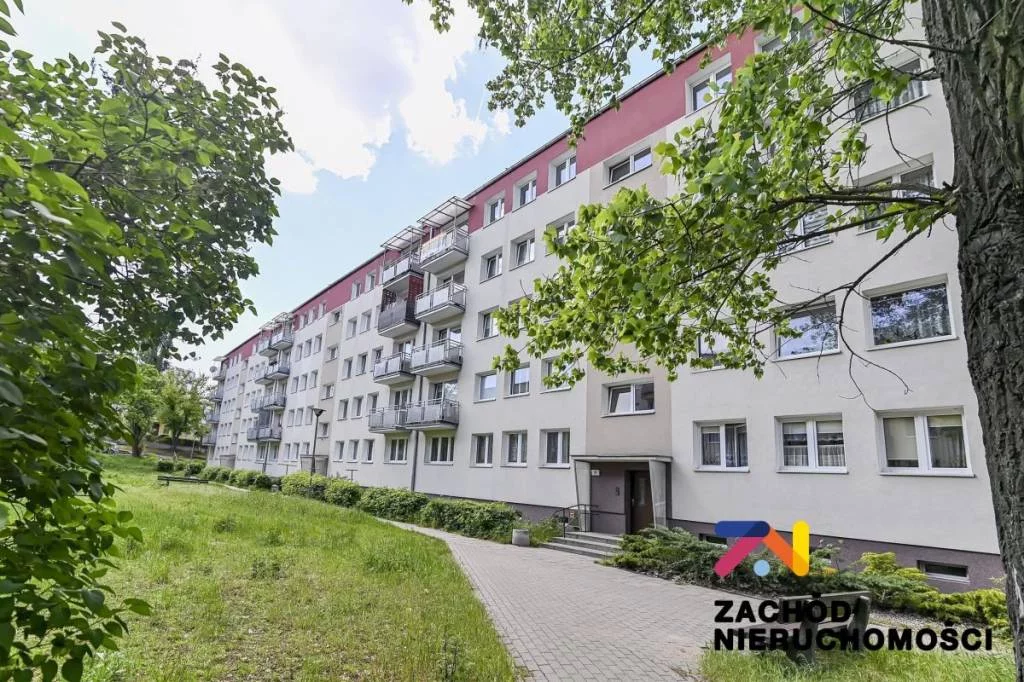 161350227 - zdjęcie nr 3