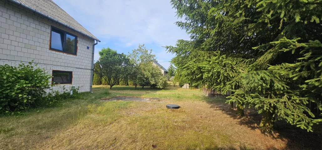 2397 - zdjęcie nr 4