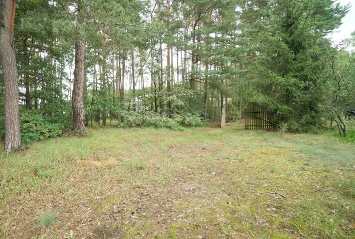 Dom 62,00 m², oferta nr , 2424, Zbójna, Kolonia Suchy Borek
