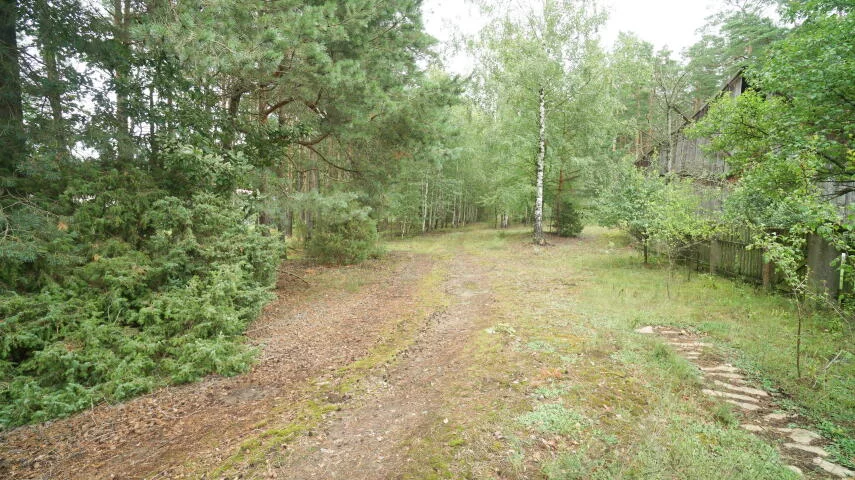 Dom 62,00 m², oferta nr , 2424, Zbójna, Kolonia Suchy Borek