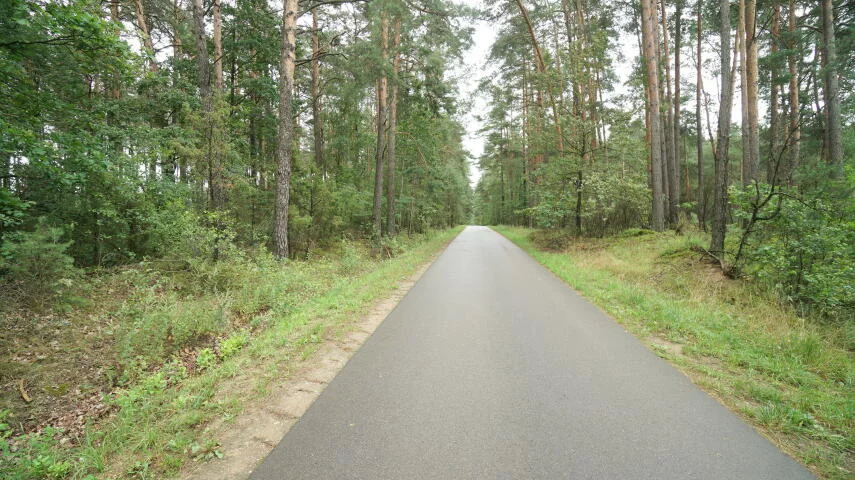 Dom 62,00 m², oferta nr , 2424, Zbójna, Kolonia Suchy Borek