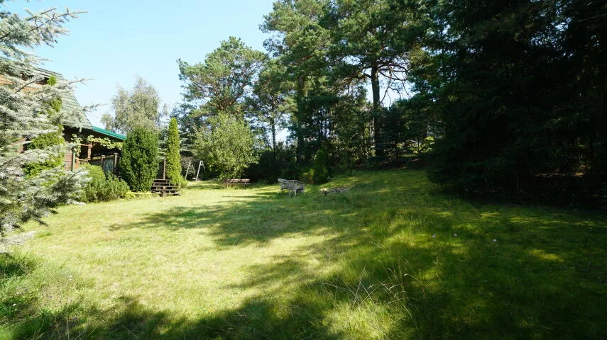 2431 - zdjęcie nr 1