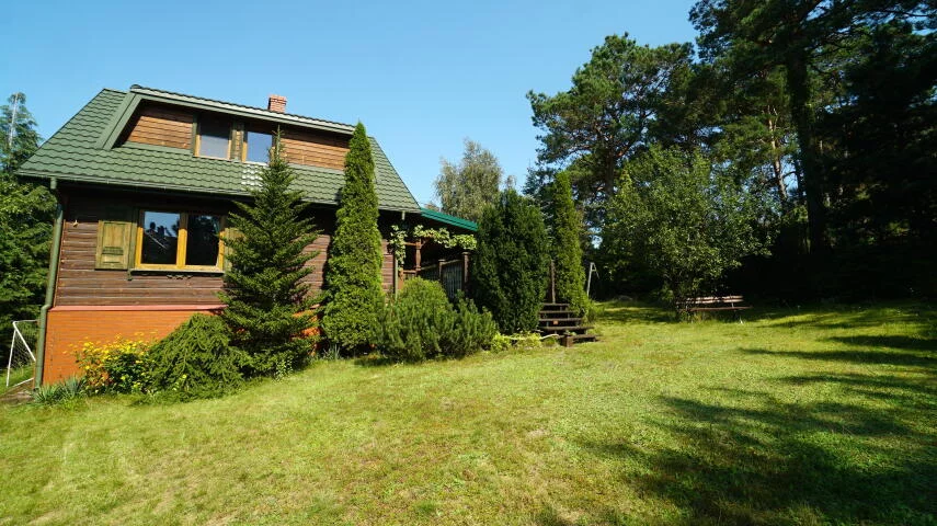 2431 - zdjęcie nr 2