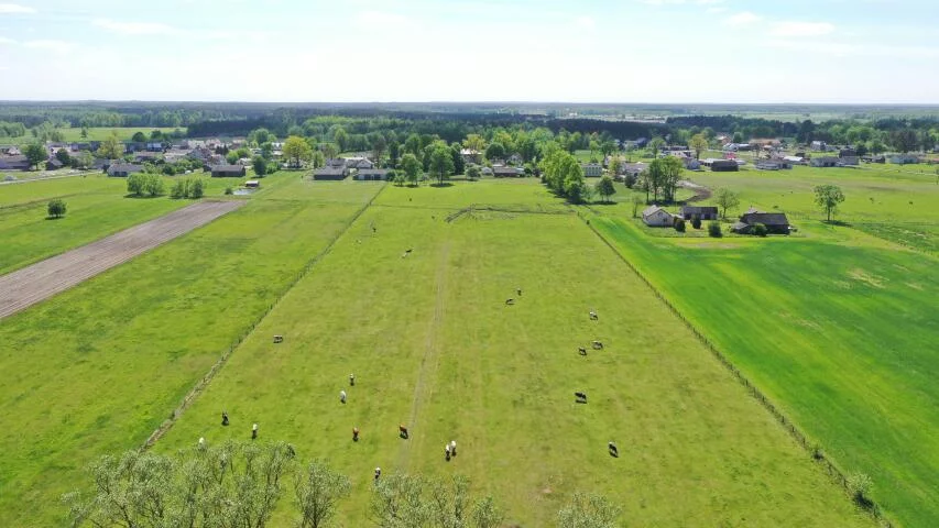 Dom 70,00 m², oferta nr , 2162, Żelazna Rządowa