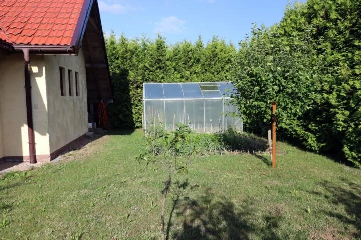 2415 - zdjęcie nr 4