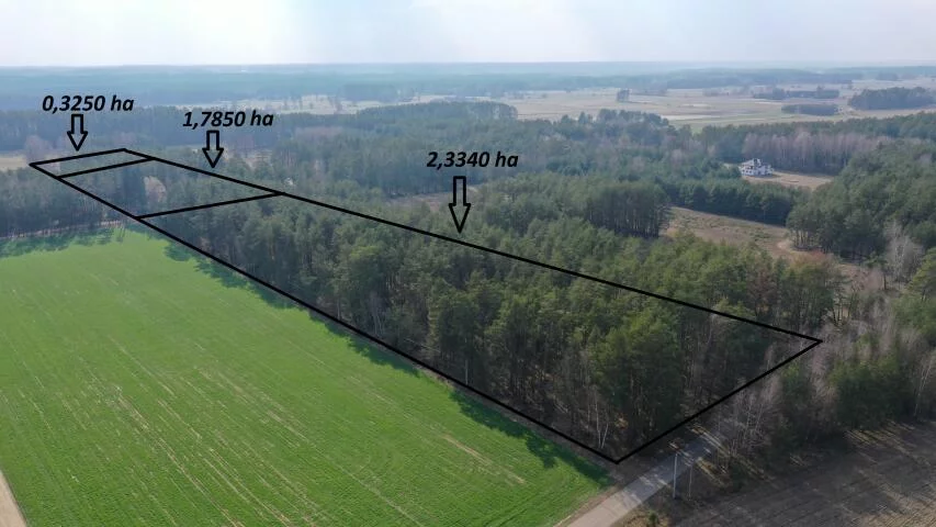 2329 - zdjęcie nr 3