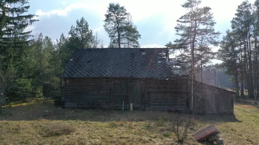 2329 - zdjęcie nr 4