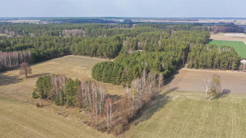 Dom 76,00 m², oferta nr , 2329, Szafranki