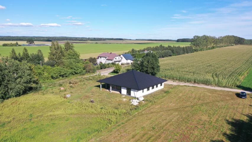 2439 - zdjęcie nr 2