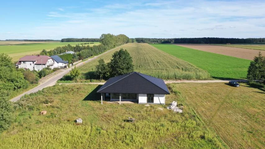 2439 - zdjęcie nr 3