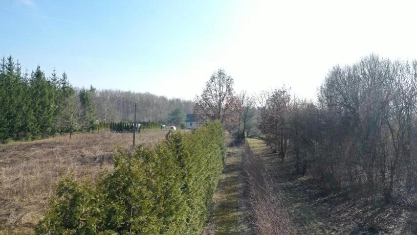 Dom 244,29 m², oferta nr , 2306, Elżbiecin, Elżbiecin