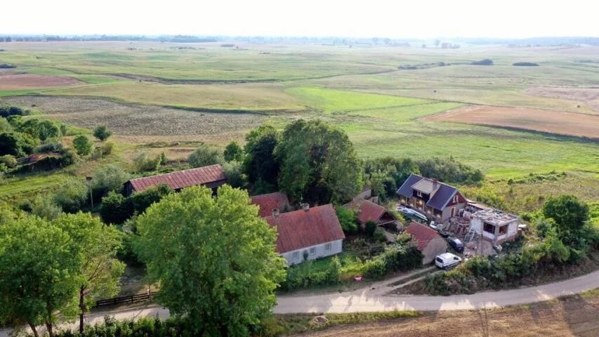 2010 - zdjęcie nr 4