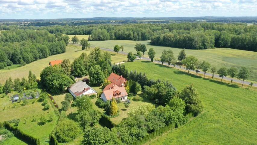 2395 - zdjęcie nr 0