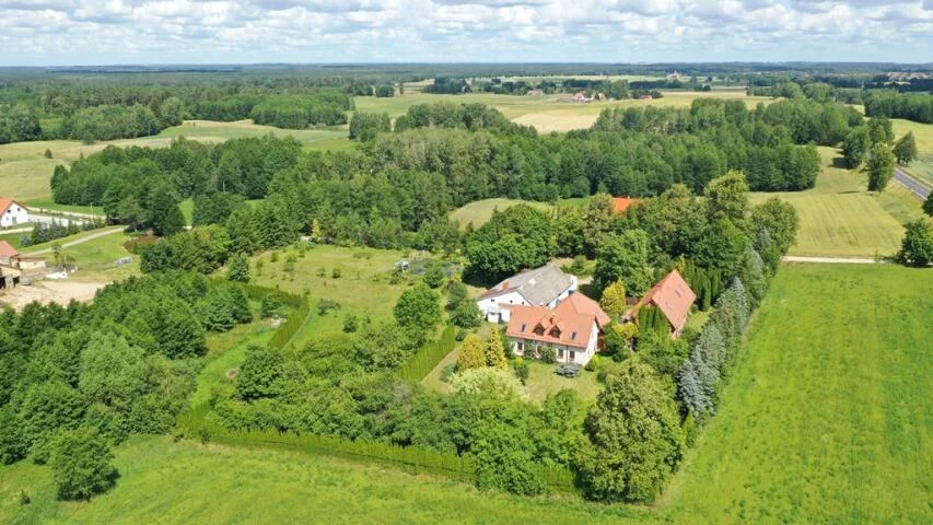 2395 - zdjęcie nr 2