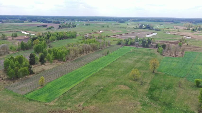 Działka 7 684,00 m², oferta nr , 2352, Cieciory