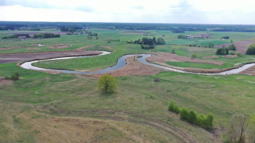Działka 7 684,00 m², oferta nr , 2352, Cieciory