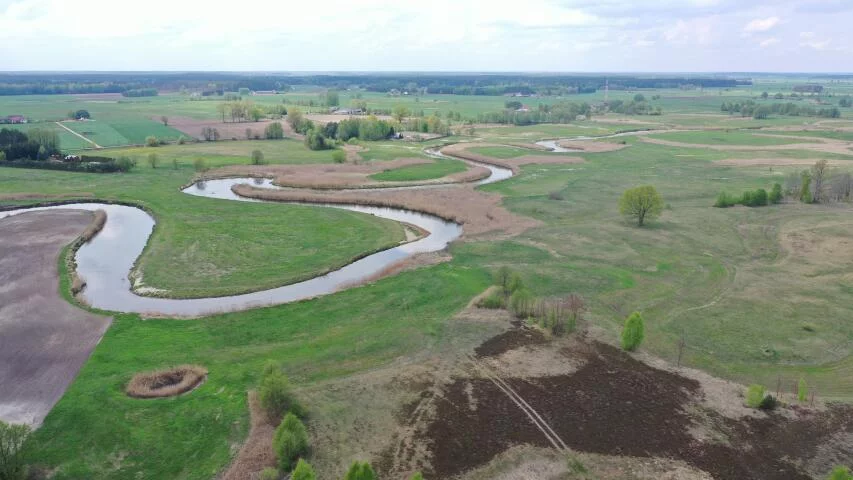 Działka 7 684,00 m², oferta nr , 2352, Cieciory