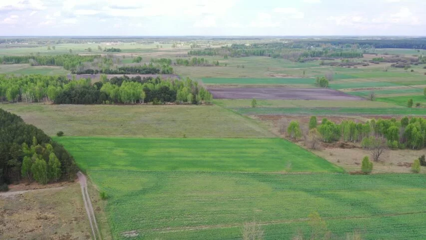 2353 - zdjęcie nr 4