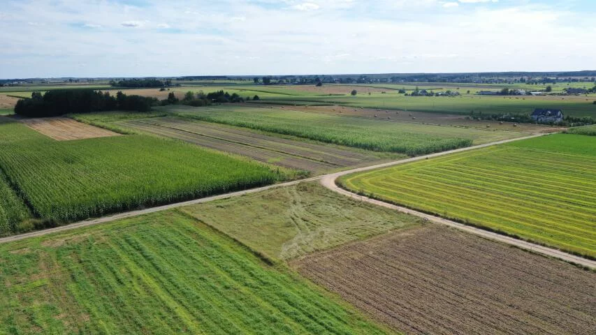 2438 - zdjęcie nr 3