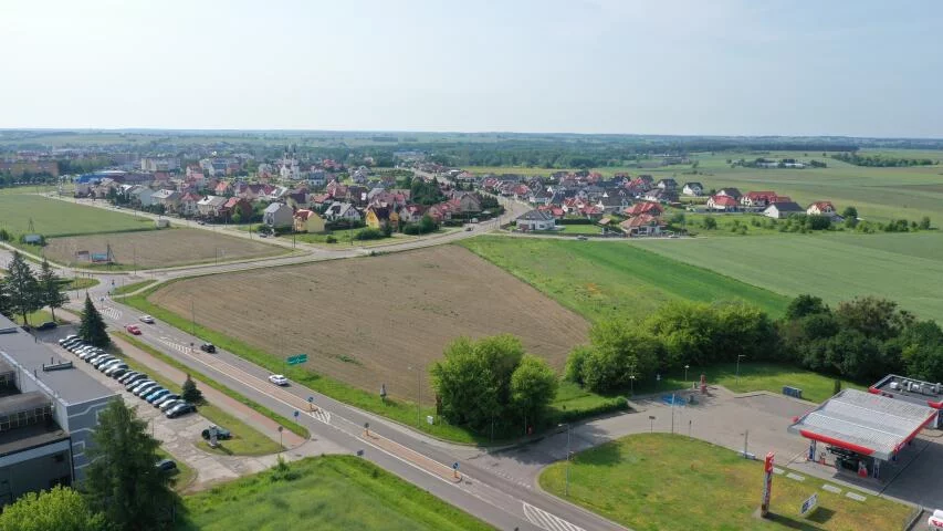 2391 - zdjęcie nr 3