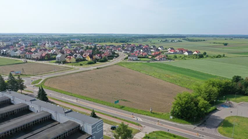 2391 - zdjęcie nr 4