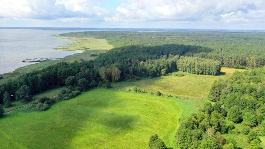 2428 - zdjęcie nr 1