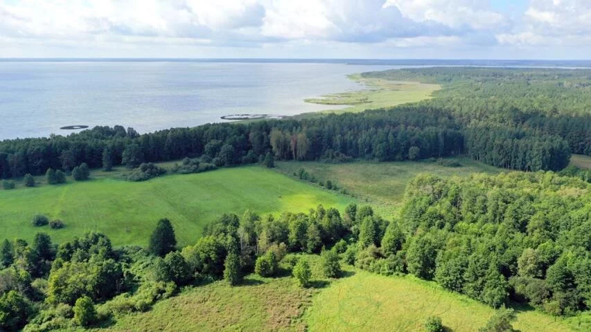 2428 - zdjęcie nr 3