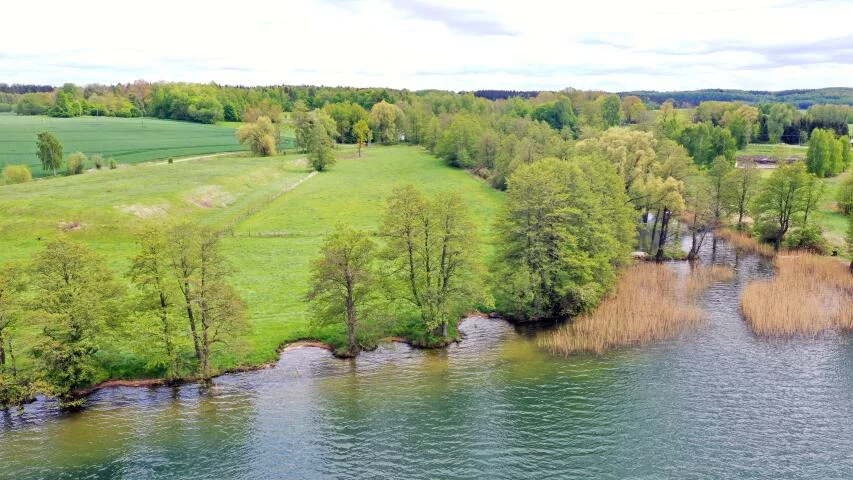2356 - zdjęcie nr 3