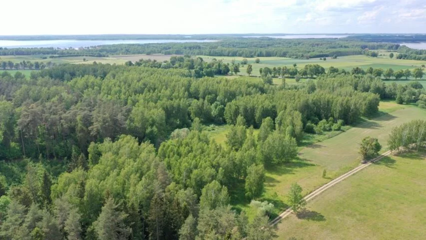 Działka 3 010,00 m², oferta nr , 2146, Harsz
