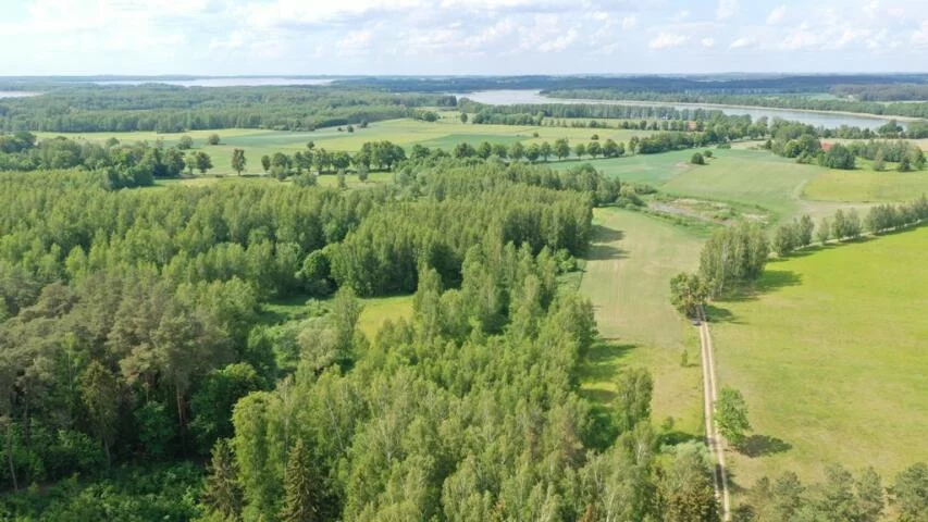 Działka 3 010,00 m², oferta nr , 2146, Harsz