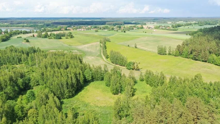 Działka 3 010,00 m², oferta nr , 2146, Harsz