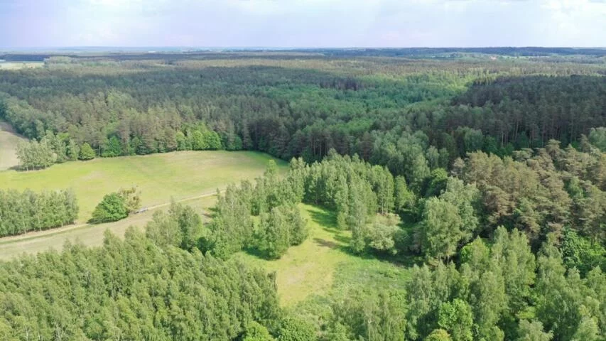Działka 3 010,00 m², oferta nr , 2146, Harsz