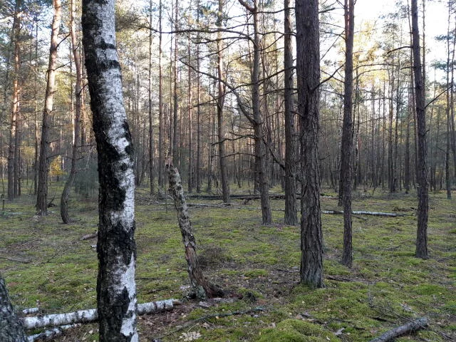 Działka 4 100,00 m², oferta nr , 2266, Kąty